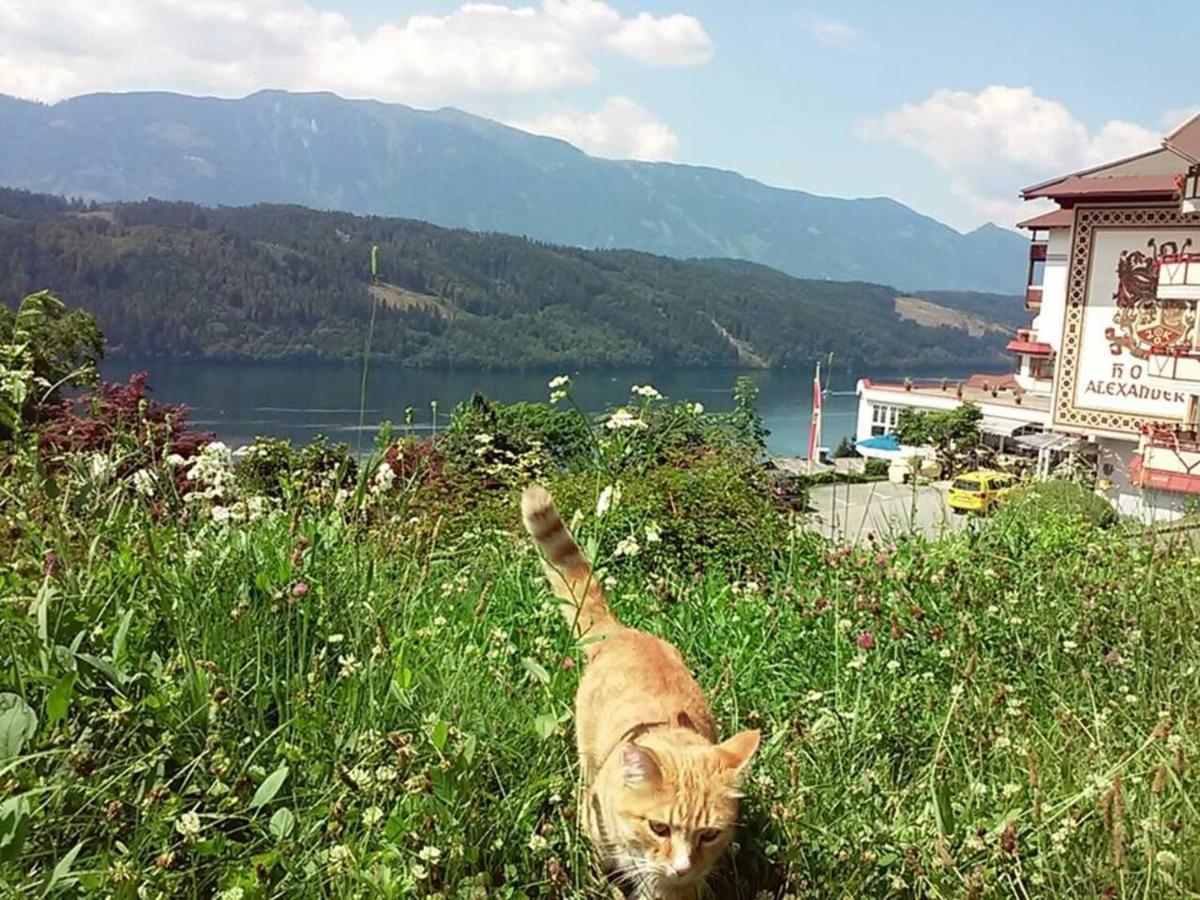 Apartmán Haus Kraller-Urlaub Mit Seeblick Millstatt Exteriér fotografie