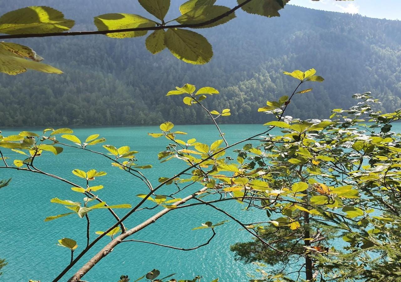 Apartmán Haus Kraller-Urlaub Mit Seeblick Millstatt Exteriér fotografie