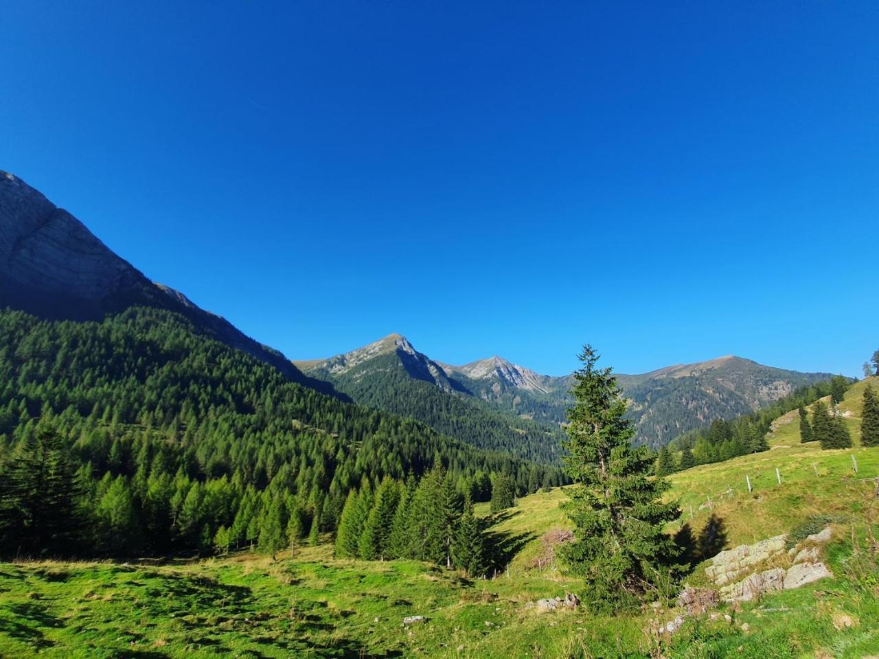 Apartmán Haus Kraller-Urlaub Mit Seeblick Millstatt Exteriér fotografie