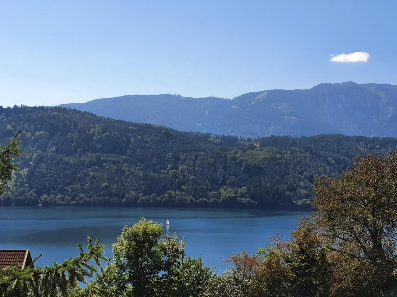 Apartmán Haus Kraller-Urlaub Mit Seeblick Millstatt Exteriér fotografie